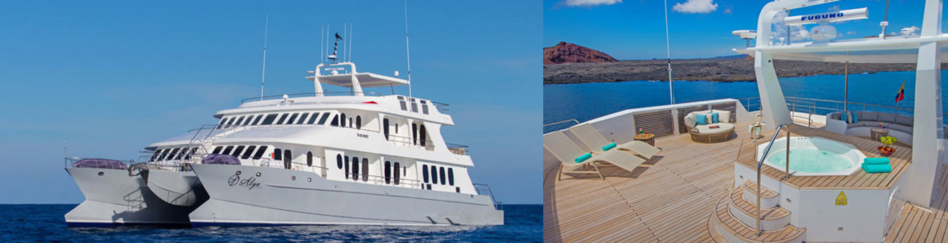 Luxury Galapagos Cruise: D
