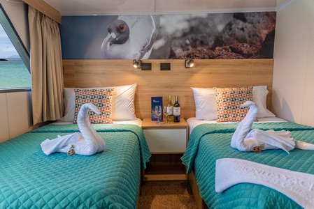 Galapagos Cruise Cabin Interior View