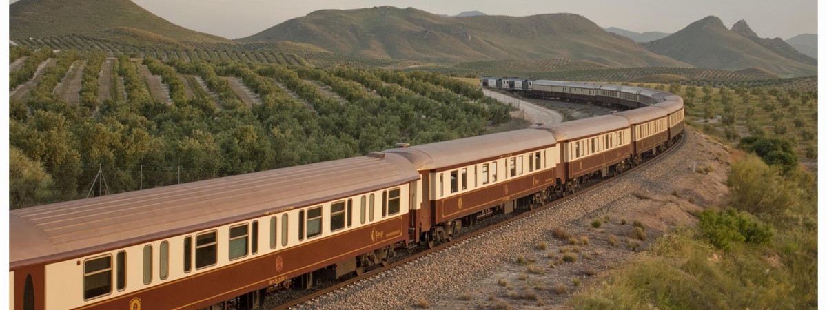 The Al Andalus luxury train curves through Andalusian olive groves on its Madrid to Seville journey. Mountains in background.