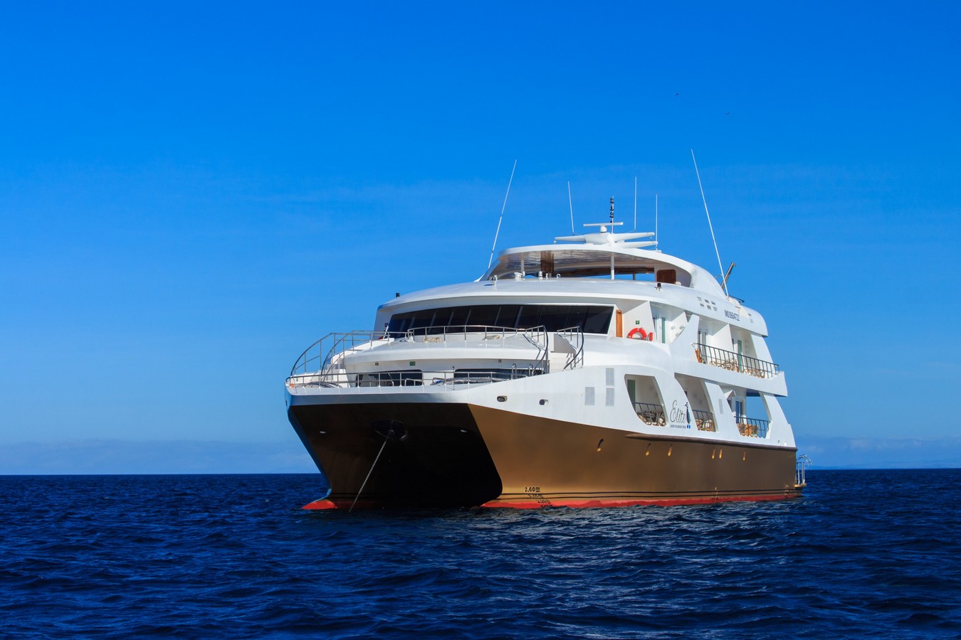 Galapagos Cruise Awaits