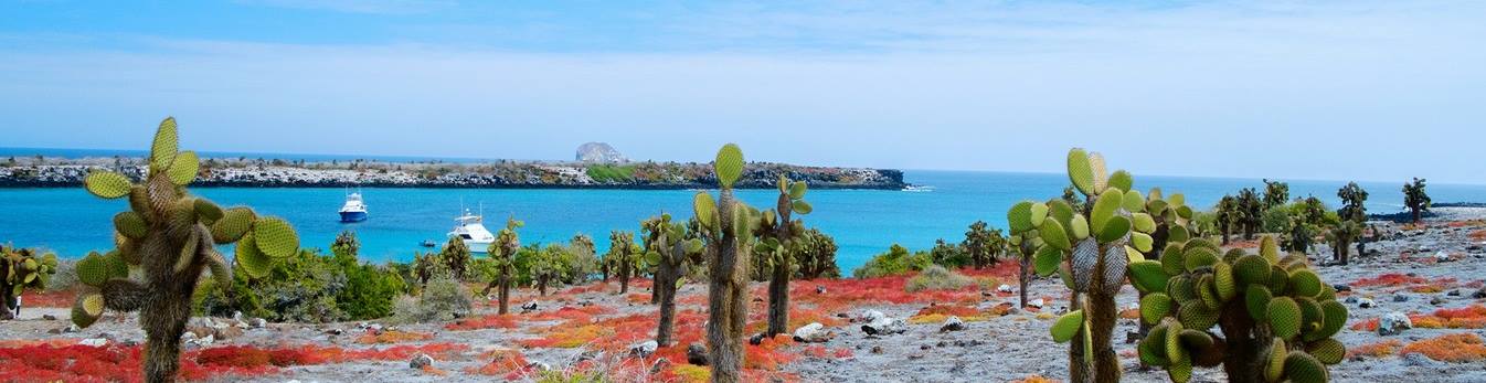 Galapagos Island Landscape and Boats