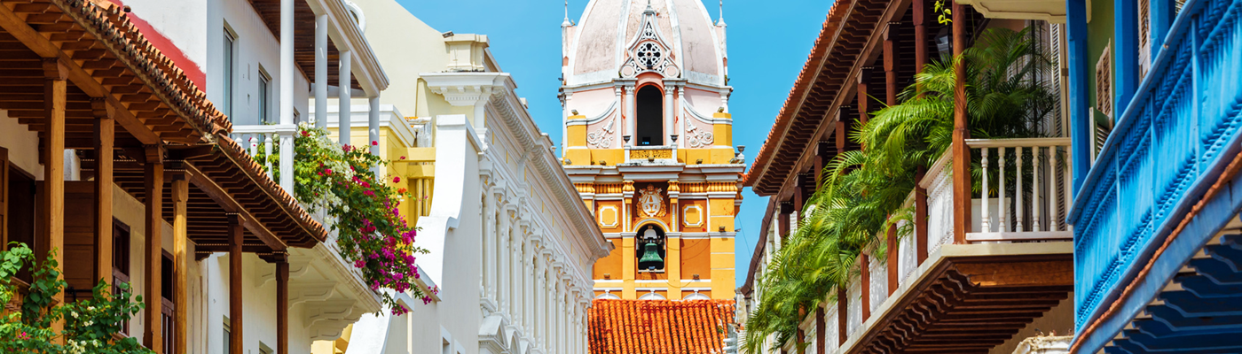 Book Now and receive 50% off companion fare