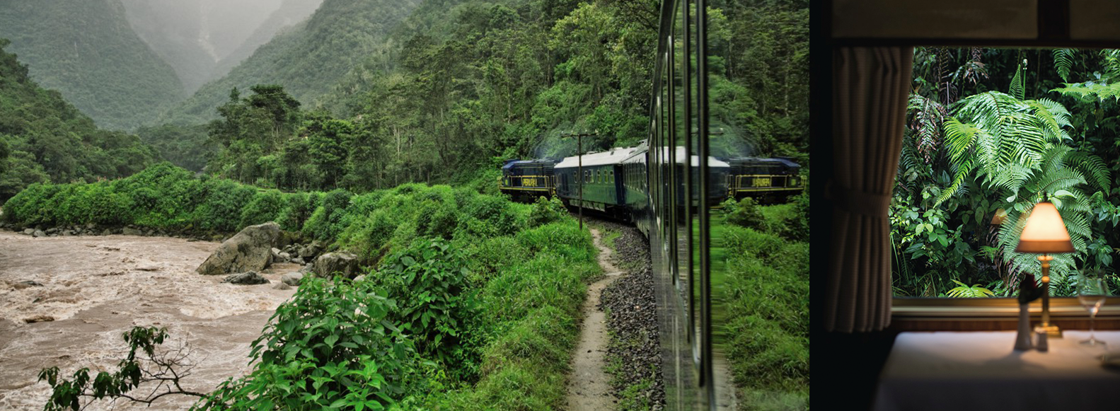 Luxury Train Through Lush Scenery