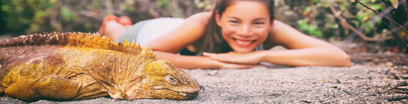 Galapagos Land Iguana Encounter
