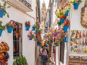 Cordoba's Flower-Filled Streets