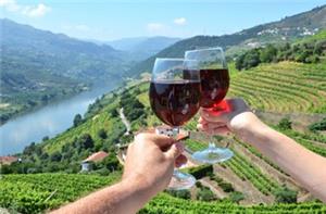 Portugal and Douro River Highlights