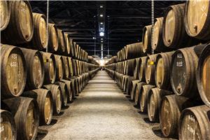 Row of wooden porto wine barrels in wine cellar Porto, Portugal.