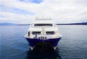 Endemic Front Exterior