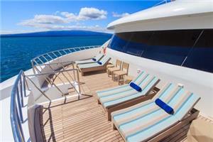 Endemic Upper Deck Terrace