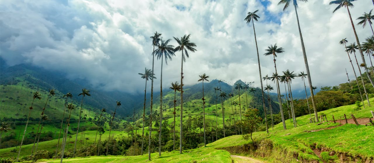 Book Now and receive 50% off companion fare