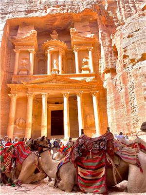 Petra camel