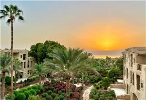 Dead Sea Hotel green