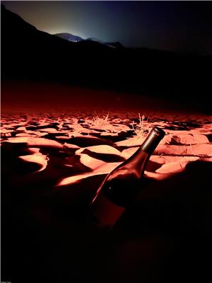 Wadi Rum at night with wine