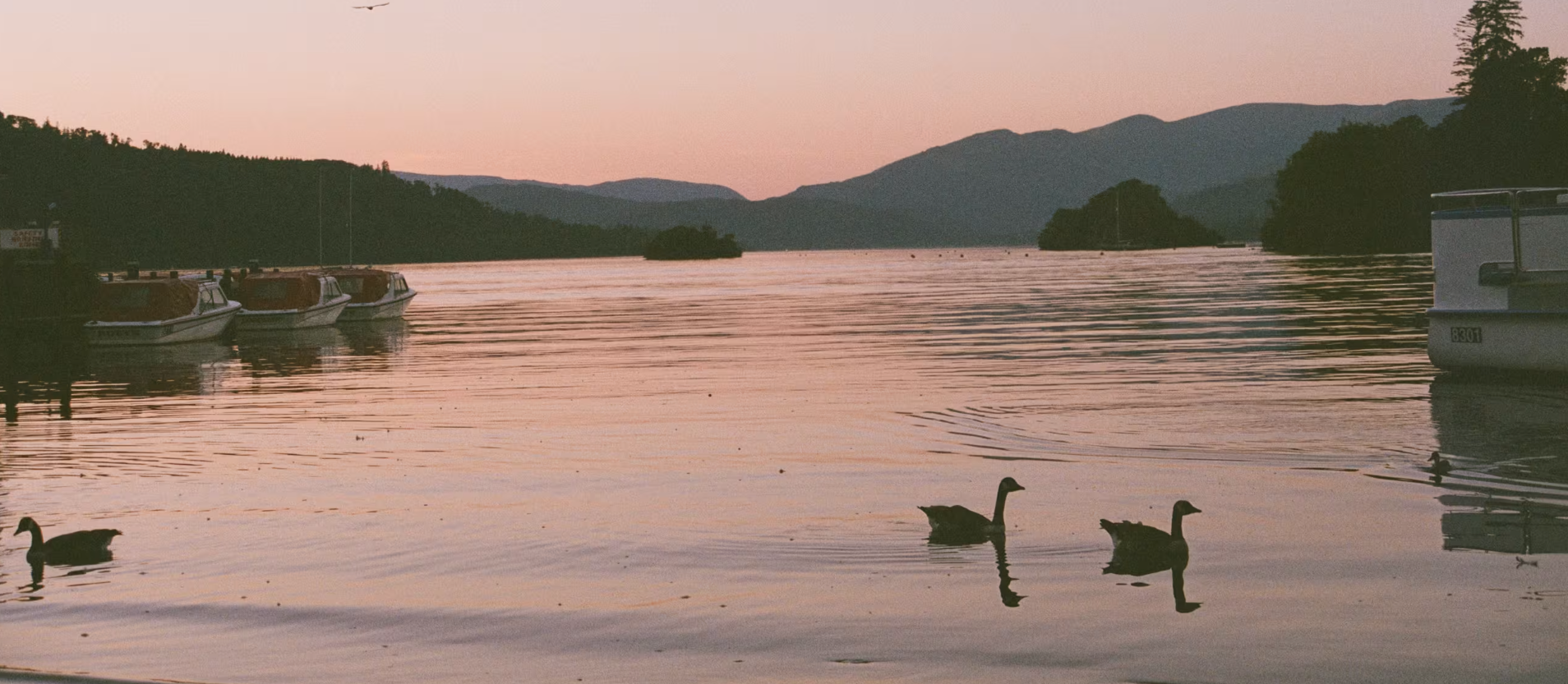 Sunset over Lake District, England. Geese swim in still water reflecting pink sky. Boats docked. Britannic Explorer tour.