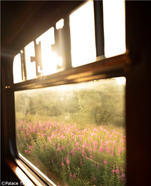 Cornwall Train Journey: Window View