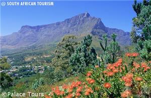 Table Mountain, Cape Town