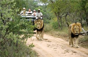 Game drive