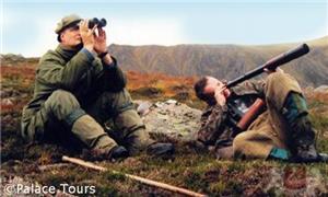 Deer Stalking at Rothiemurchus