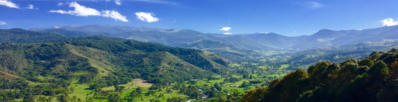 Book Now and receive 50% off companion fare