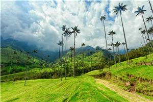 Enjoy a hike through the Cocora Valley