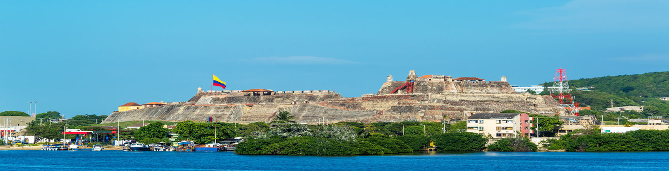 Book Now and receive 50% off companion fare